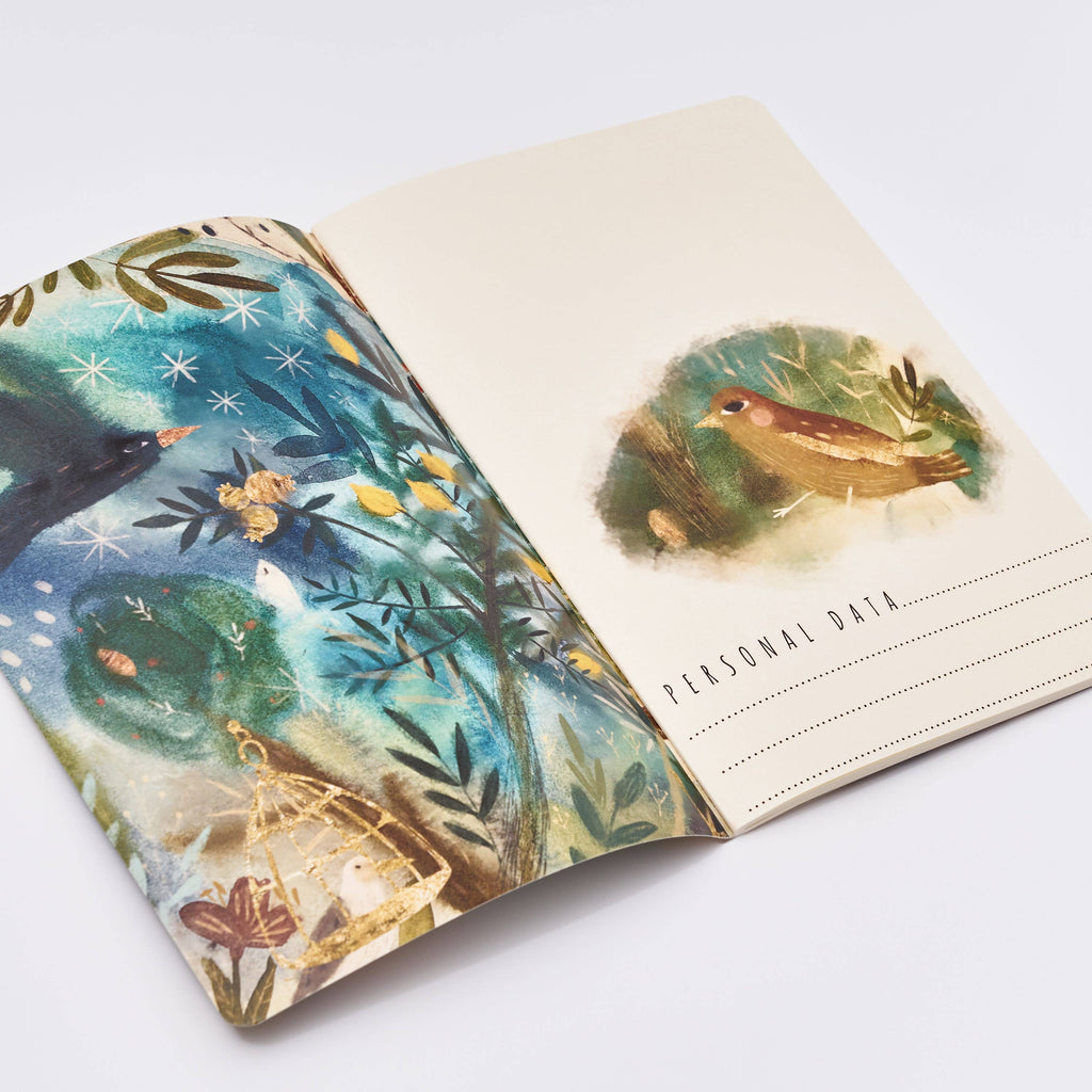 Roman Murals Notebook