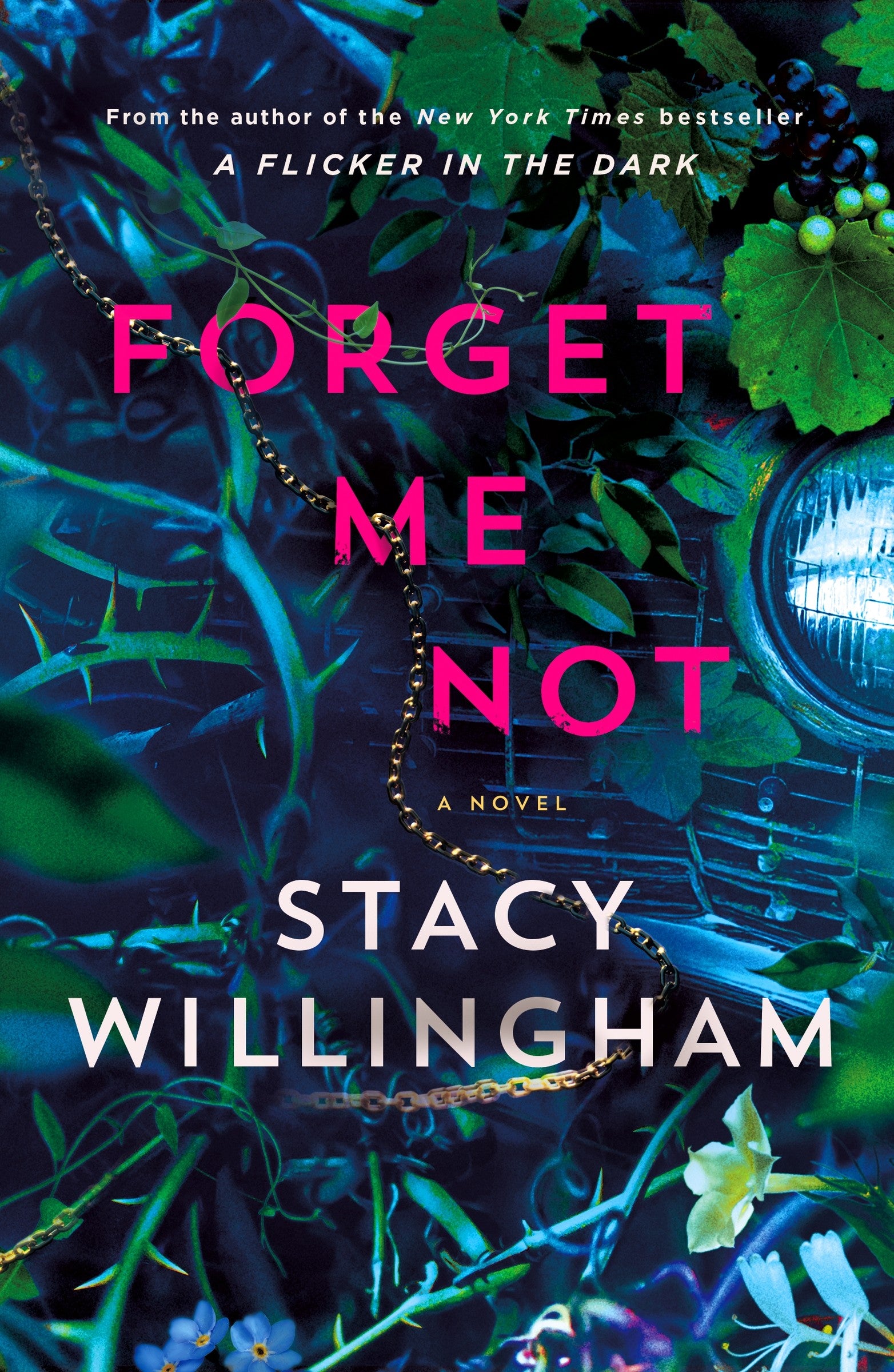 Forget Me Not